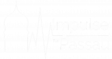 Impulse für Passau